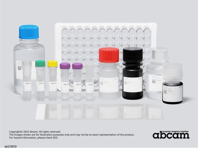 Mouse SAP ELISA Kit(AB235639)