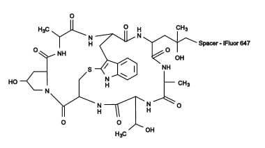 Phalloidin-iFluor 647 Reagent(AB176759)
