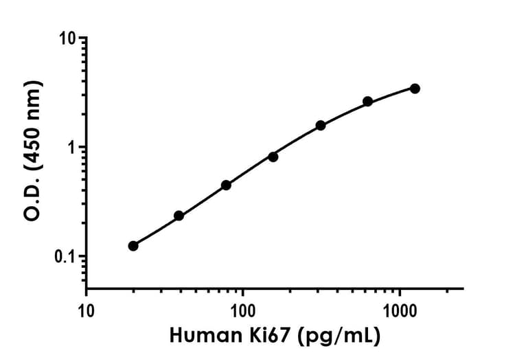 Recombinant Human Ki67 Protein Standard (His tag)(ab316629)