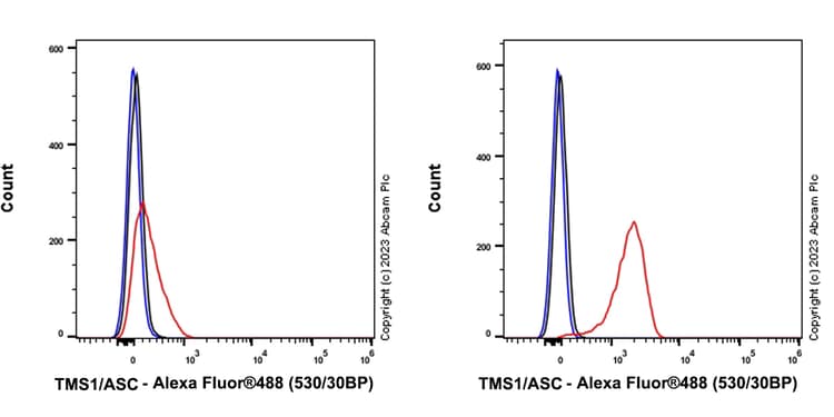Anti-TMS1/ASC antibody [RM1049](AB309497)