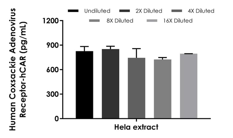 Human Coxsackie Adenovirus Receptor/hCAR ELISA Kit(AB300308)