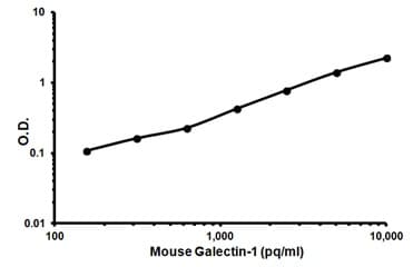 Mouse Galectin 1 ELISA Kit(AB119595)
