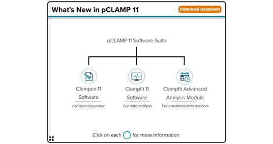 Molecular Devices Pclamp 11 Software Suite Image1