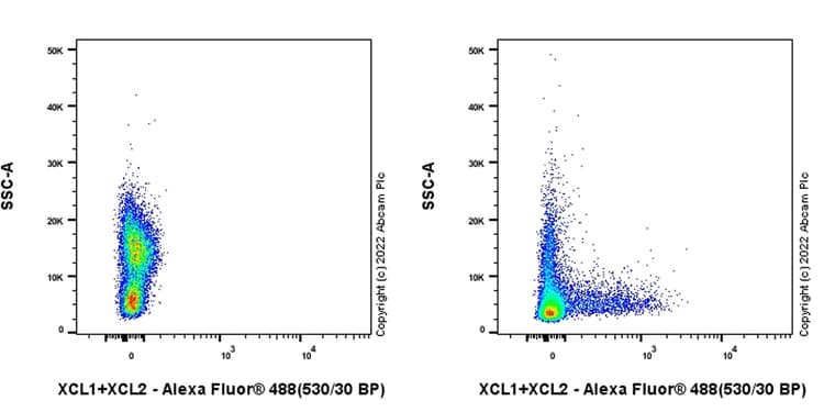 Anti-XCL1+XCL2 antibody [EPR26181-30] (BSA and Azide free)(AB302523)