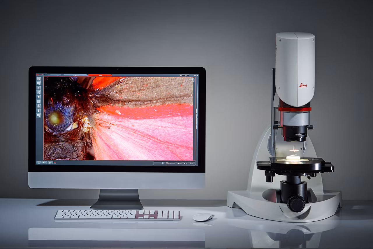 Leica Dvm6 Digital Microscopes Image8
