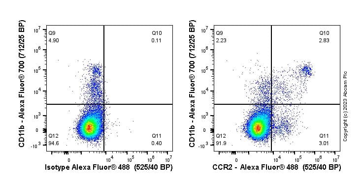 Anti-CCR2 antibody [EPR20844-15](AB273050)