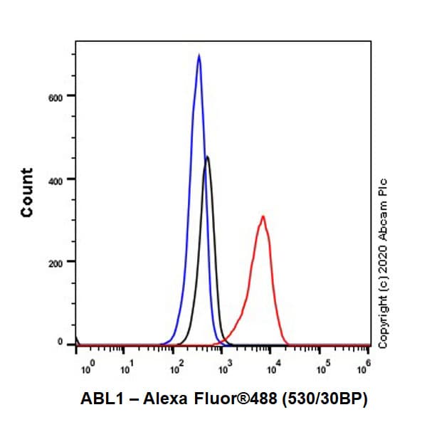 Anti-abL1 antibody [EPR23406-32](ab254341)
