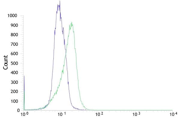 Anti-FOXP1 antibody [SP133] - C-terminal(AB227649)