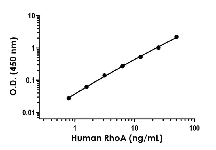 Rhoa Antibody Epr18134 18 Bsa And Azide Free Detector Ab285110  Sandwich Elisa Img429538