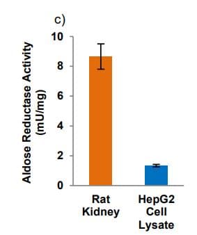 Aldose Reductase Activity Kit (Colorimetric)(AB273276)