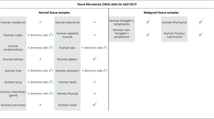 Anti-CD4 antibody [SP35](AB213215)