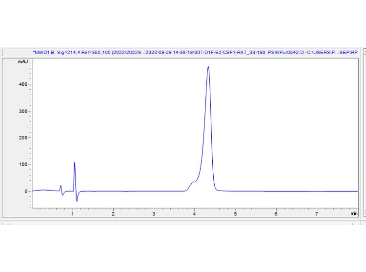 Recombinant Rat M-CSF Protein (Active)(AB307410)