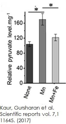 Pyruvate Assay Kit(AB65342)