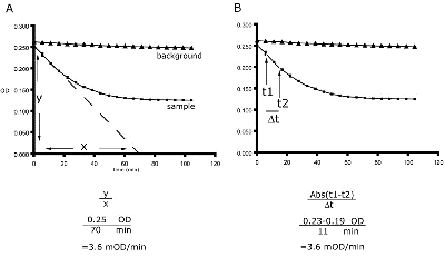 Complex IV Human Enzyme Activity Microplate Assay Kit(AB109909)