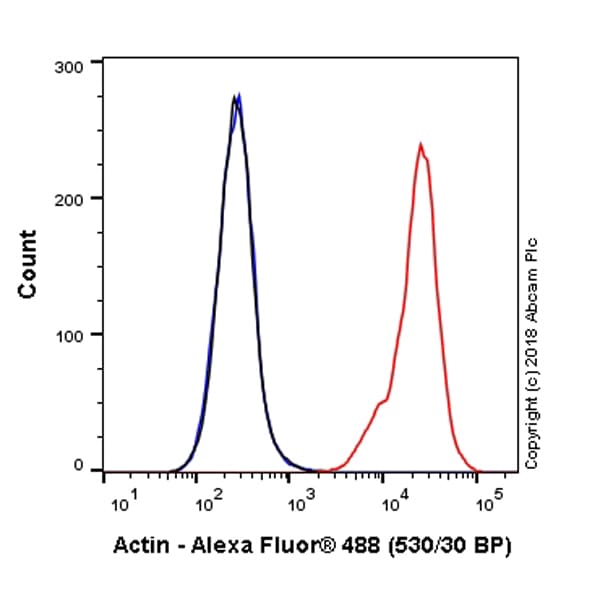 Alexa Fluor® 488 Anti-Actin antibody [EPR16875](AB223457)