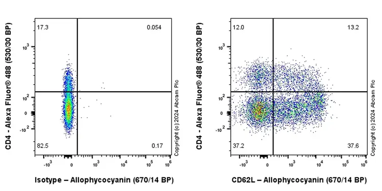 APC Rabbit IgG, monoclonal [EPR25A] - Isotype Control(AB232814)