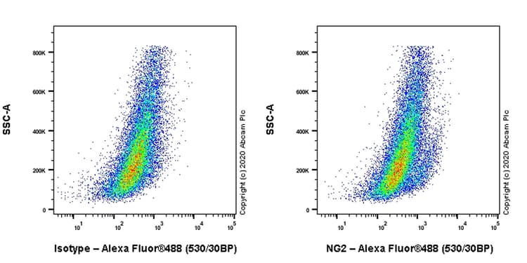 Anti-NG2 antibody [EPR23752-147] - BSA and Azide free(AB275041)