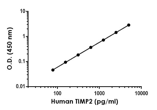 Anti-TIMP2 antibody [EPR20023-112] - BSA and Azide free (Detector)(AB259440)