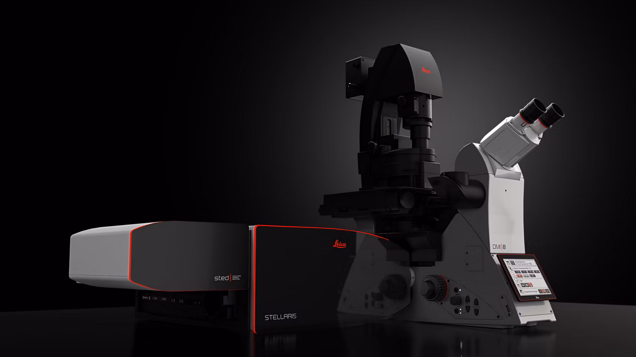Stellaris STED Confocal Header Kid21775037