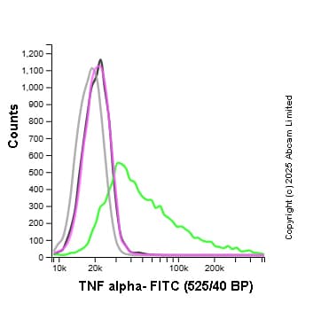 FITC Rabbit IgG, monoclonal [EPR25A] - Isotype Control(AB223339)
