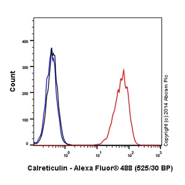 Alexa Fluor® 488 Anti-Calreticulin antibody [EPR3924] - ER Marker(AB196158)