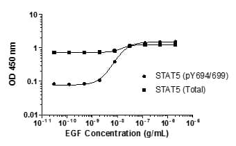 STAT 5 A/B ELISA Kit(AB205714)