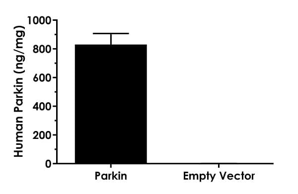 Human Parkin ELISA Kit(AB212159)