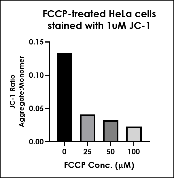 JC-1 - Mitochondrial Membrane Potential Assay Kit(AB288313)