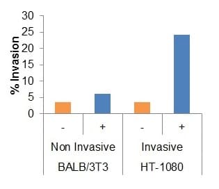 Cell Migration/Chemotaxis Assay Kit (96-well, 8 µm)(AB235673)