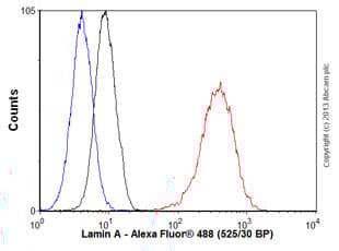 Anti-Lamin A + Lamin C antibody [EPR4100] - Nuclear Envelope Marker(AB108595)