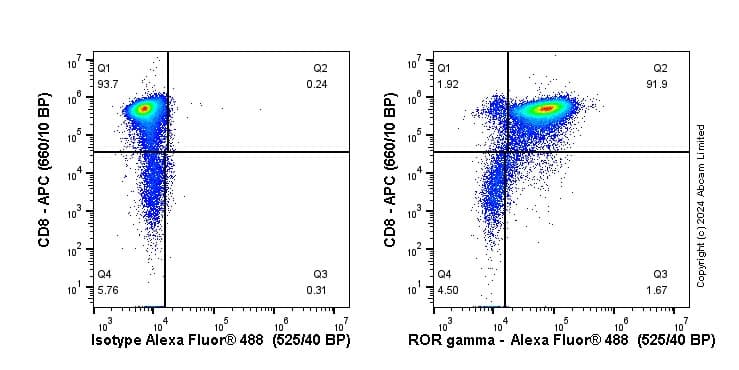 Anti-ROR gamma antibody [EPR20006] - BSA and Azide free(AB232516)