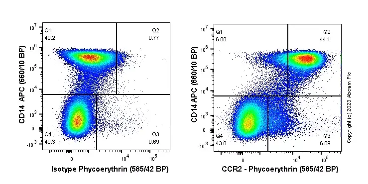 PE Rabbit IgG, monoclonal [EPR25A] - Isotype Control(AB209478)