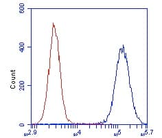Anti-DLST antibody [9F4BD5](AB110306)