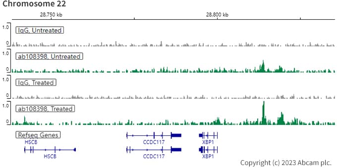 Anti-Estrogen Receptor alpha antibody [EPR4097](AB108398)