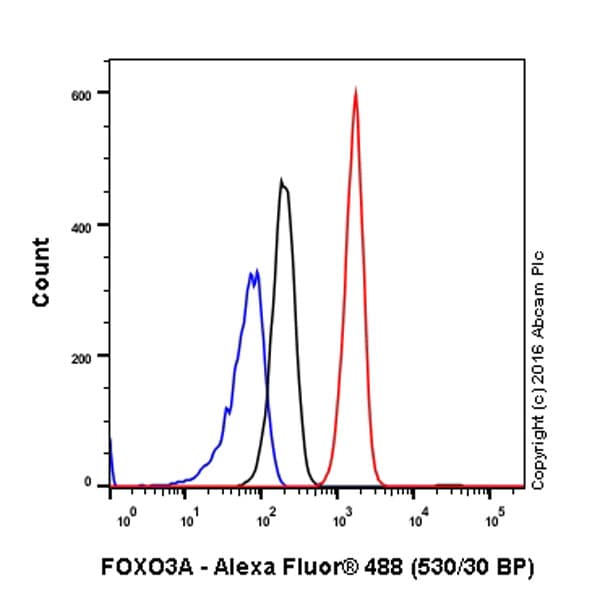 Anti-FOXO3A antibody [EPR1950] - BSA and Azide free(AB232393)