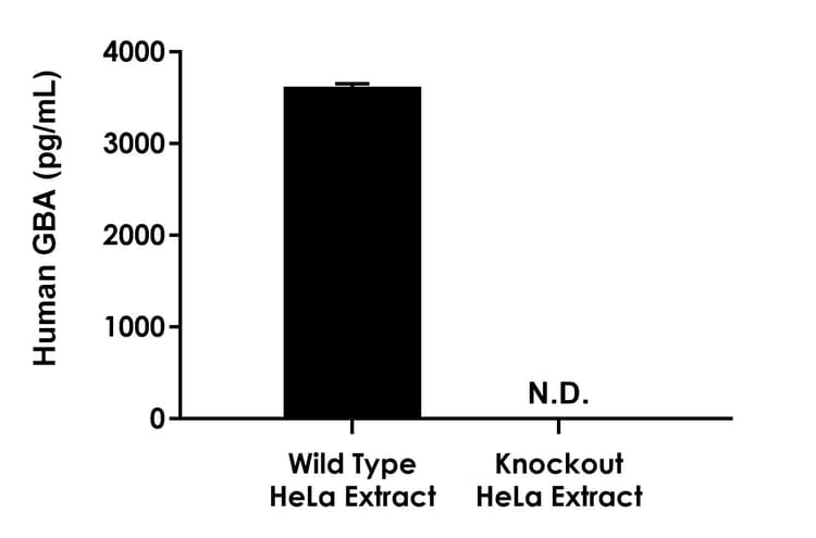 Human GBA knockout HeLa cell line(AB265038)