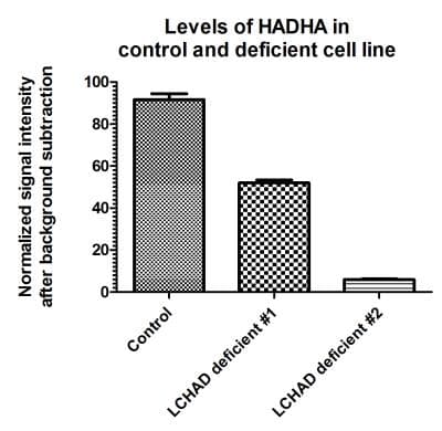 Human Fatty Acid Oxidation In-Cell ELISA Kit(AB118182)