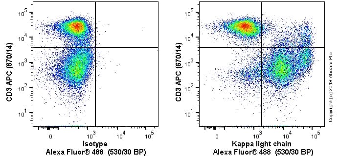 Alexa Fluor® 488 Anti-Kappa light chain antibody [OX12](AB256420)