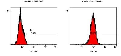 Anti-LC3B antibody(ab51520)