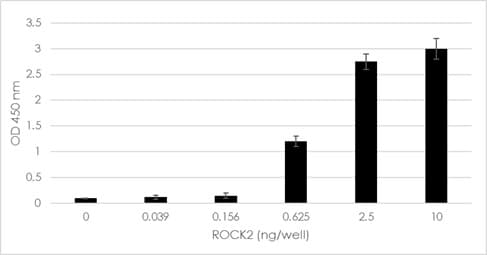 ROCK Activity Assay Kit(AB211175)