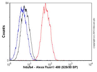 Ndufs4 Antibody Ep7832 Bsa And Azide Free Ab232337  Flow Cytometry Intracellular Img33615