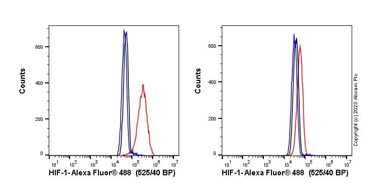 Anti-HIF-1 alpha antibody [EP1215Y](ab51608)