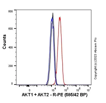 PE Rabbit IgG, monoclonal [EPR25A] - Isotype Control(AB209478)