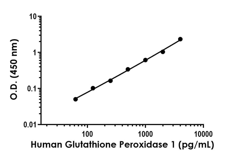 Anti-Glutathione Peroxidase 1 antibody [EPR24462-61] - BSA and Azide free (Detector)(AB282217)