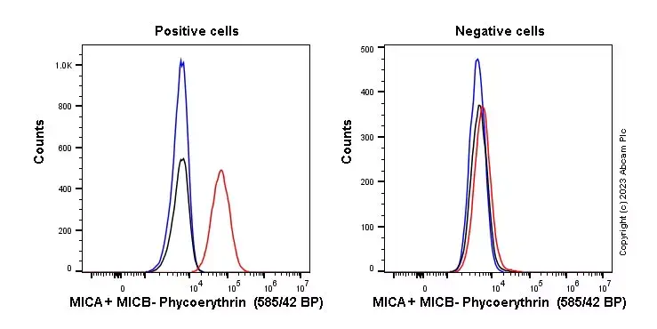 PE Rabbit IgG, monoclonal [EPR25A] - Isotype Control(AB209478)