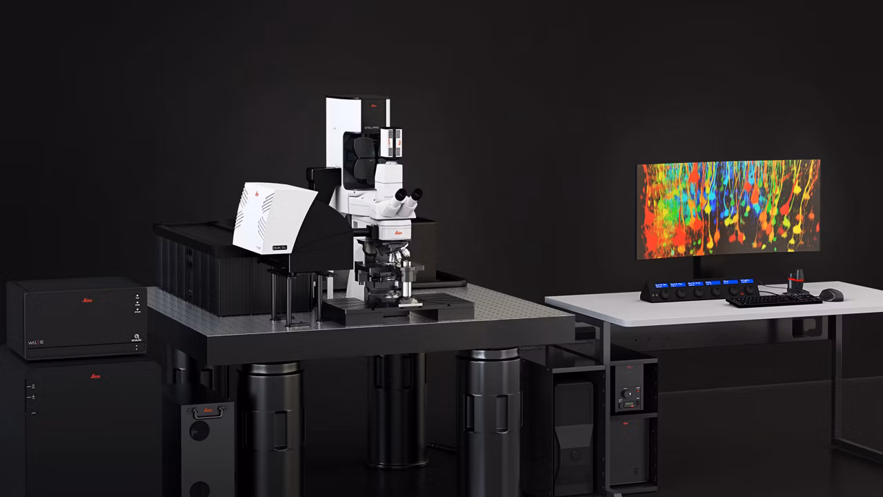 Stellaris DIVE Confocal Header Kid21775027