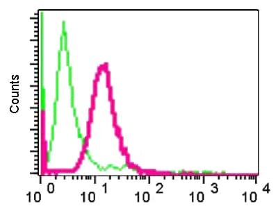 Anti-LHX3/LIM antibody [EPR3344(2)](AB124697)