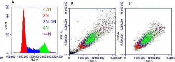 Propidium Iodide Flow Cytometry Kit(AB139418)