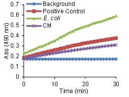 Beta Lactamase Activity Assay Kit (Colorimetric)(AB197008)