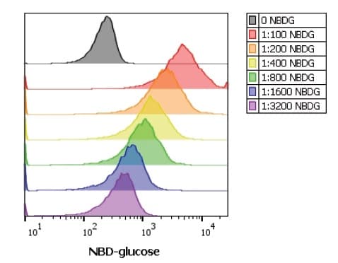 2-NBDG Glucose Uptake Assay Kit(AB235976)